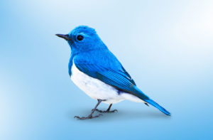 twitter privacy security featured e1637770622479